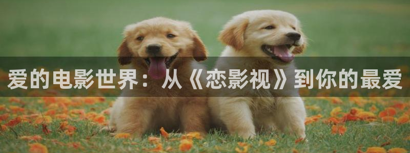 神马秋霞八戒八戒电影网