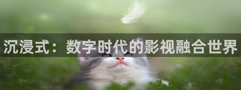 秋霞在线观看视频理论